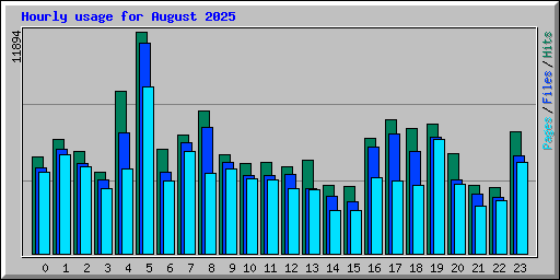 Hourly usage for August 2025