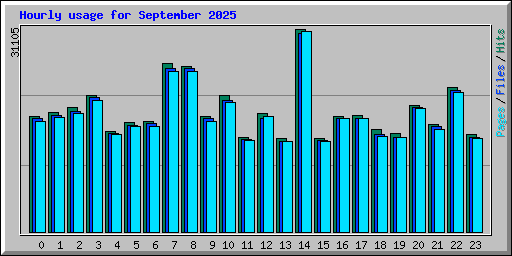 Hourly usage for September 2025