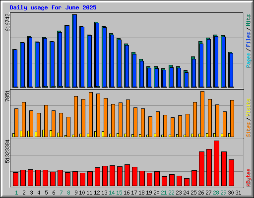 Daily usage for June 2025