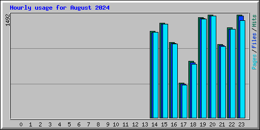 Hourly usage for August 2024