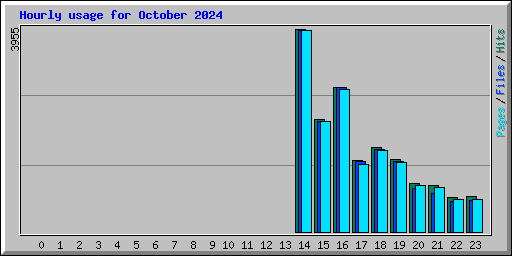 Hourly usage for October 2024