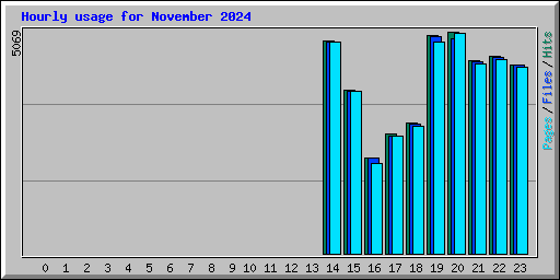 Hourly usage for November 2024