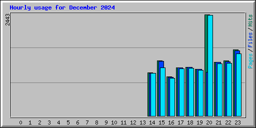 Hourly usage for December 2024