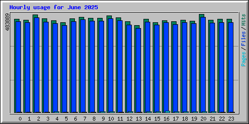 Hourly usage for June 2025