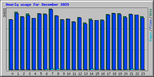 Hourly usage for December 2025