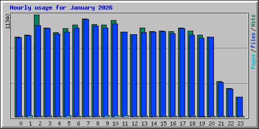 Hourly usage for January 2026