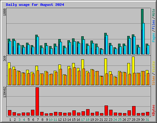 Daily usage for August 2024