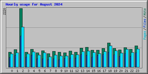 Hourly usage for August 2024