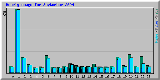 Hourly usage for September 2024
