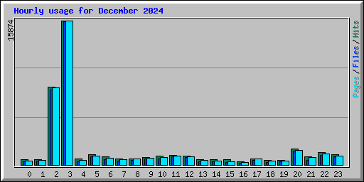 Hourly usage for December 2024