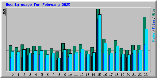 Hourly usage for February 2025