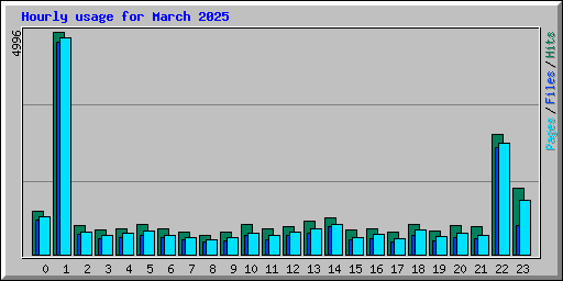 Hourly usage for March 2025