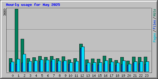 Hourly usage for May 2025