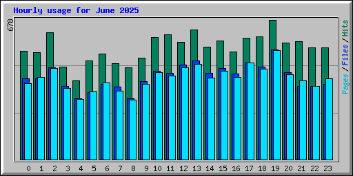 Hourly usage for June 2025