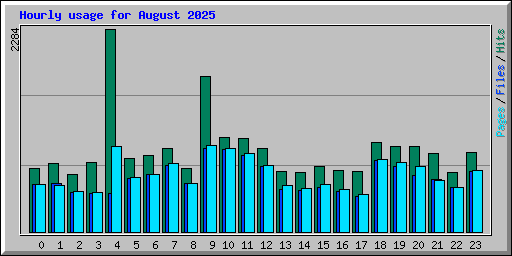 Hourly usage for August 2025