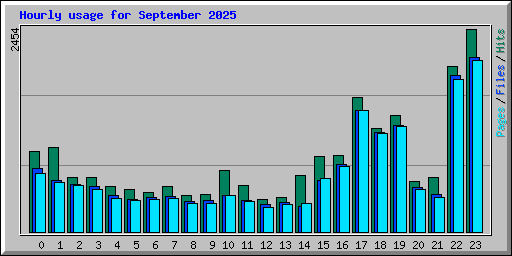 Hourly usage for September 2025
