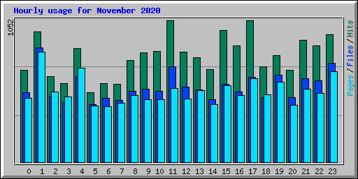 Hourly usage for November 2020