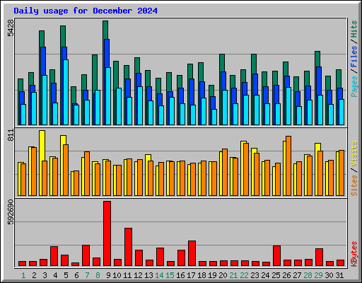 Daily usage for December 2024