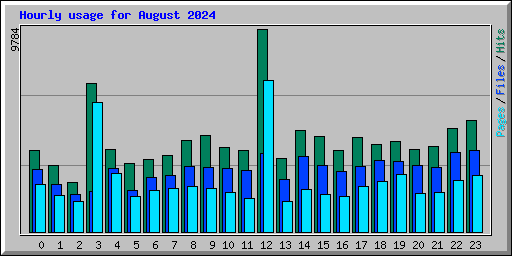 Hourly usage for August 2024