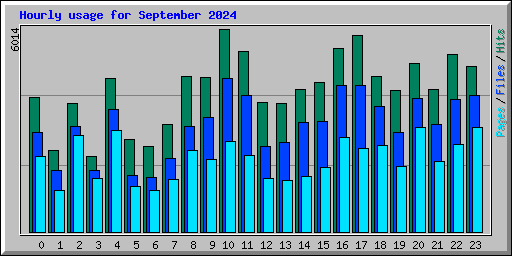 Hourly usage for September 2024