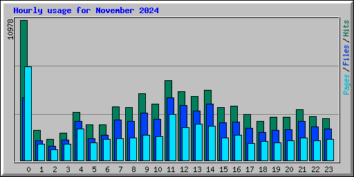 Hourly usage for November 2024