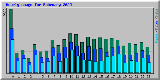 Hourly usage for February 2025