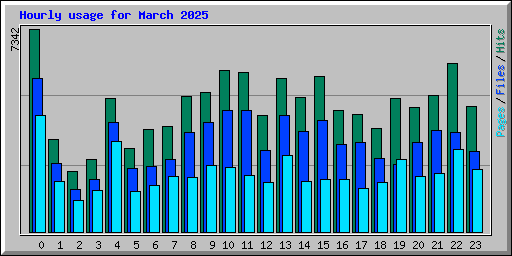 Hourly usage for March 2025