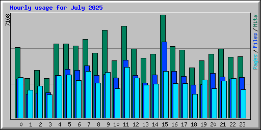 Hourly usage for July 2025