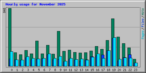 Hourly usage for November 2025