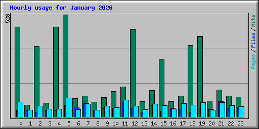 Hourly usage for January 2026