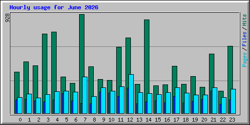 Hourly usage for June 2026