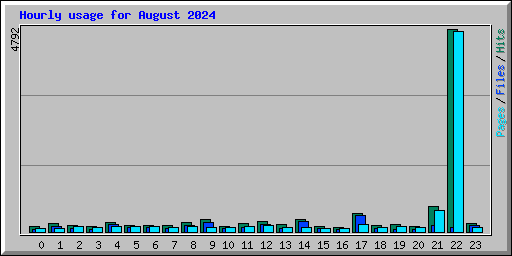 Hourly usage for August 2024
