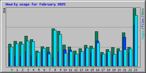 Hourly usage for February 2025