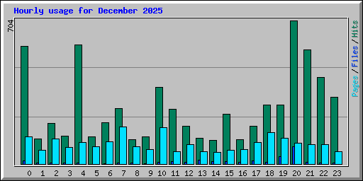 Hourly usage for December 2025