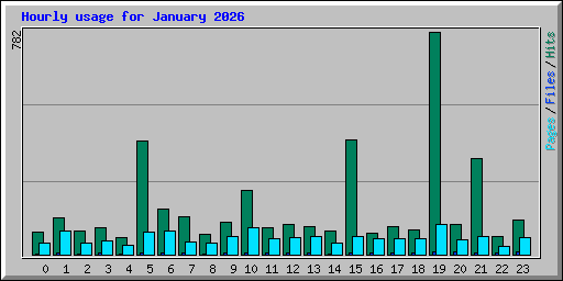 Hourly usage for January 2026