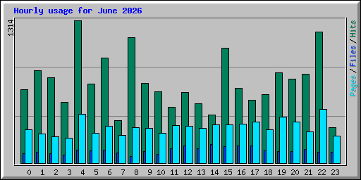 Hourly usage for June 2026