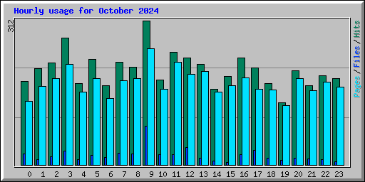 Hourly usage for October 2024