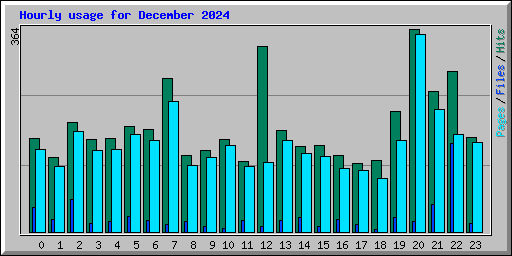 Hourly usage for December 2024