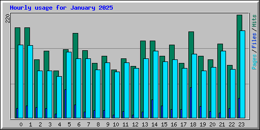 Hourly usage for January 2025