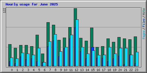 Hourly usage for June 2025