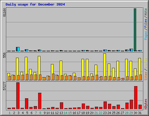 Daily usage for December 2024