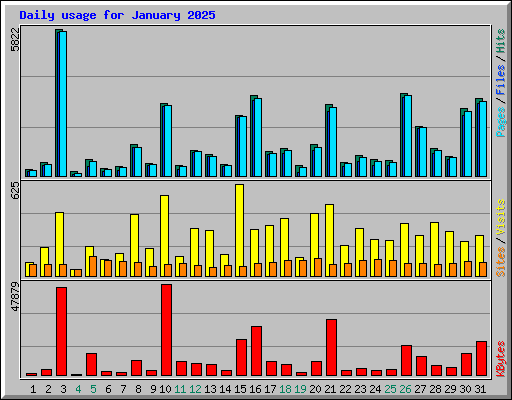 Daily usage for January 2025