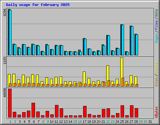 Daily usage for February 2025