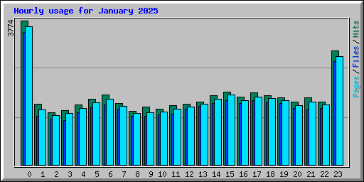 Hourly usage for January 2025