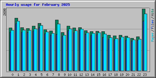 Hourly usage for February 2025