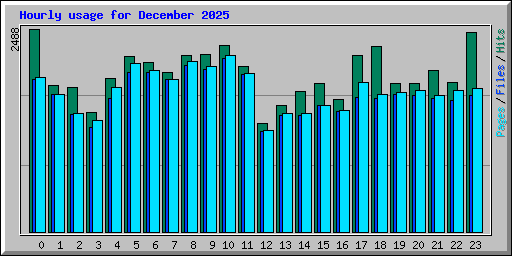 Hourly usage for December 2025