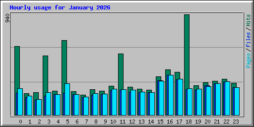 Hourly usage for January 2026