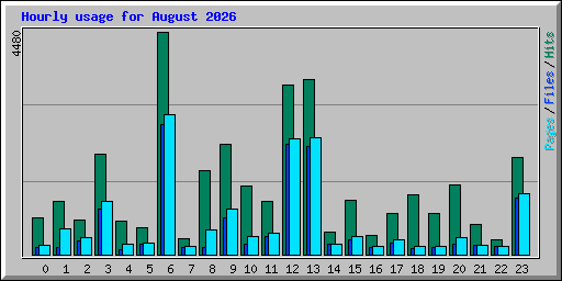 Hourly usage for August 2026