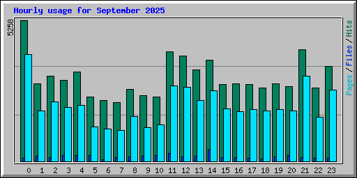 Hourly usage for September 2025