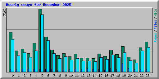 Hourly usage for December 2025